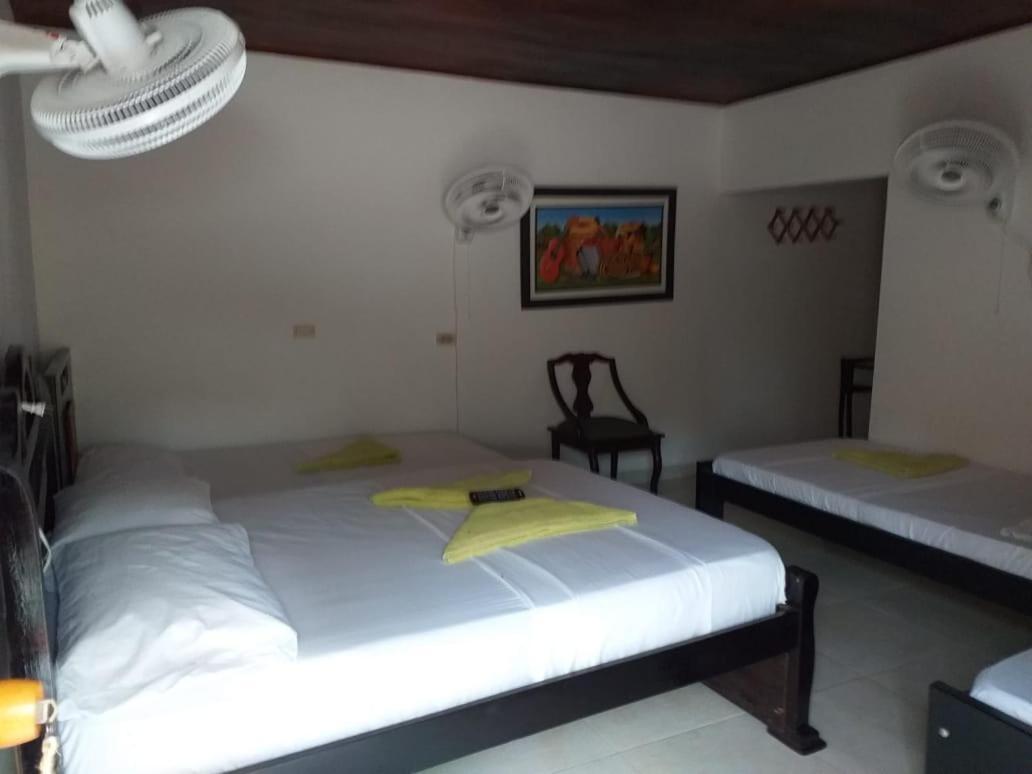 Hostel Cattleya 팔로미노 외부 사진