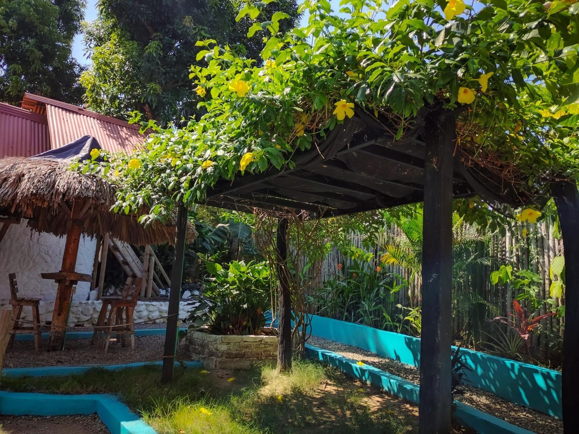 Hostel Cattleya 팔로미노 외부 사진