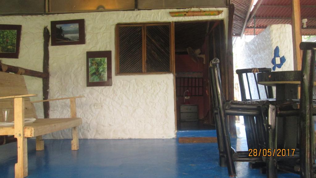 Hostel Cattleya 팔로미노 외부 사진