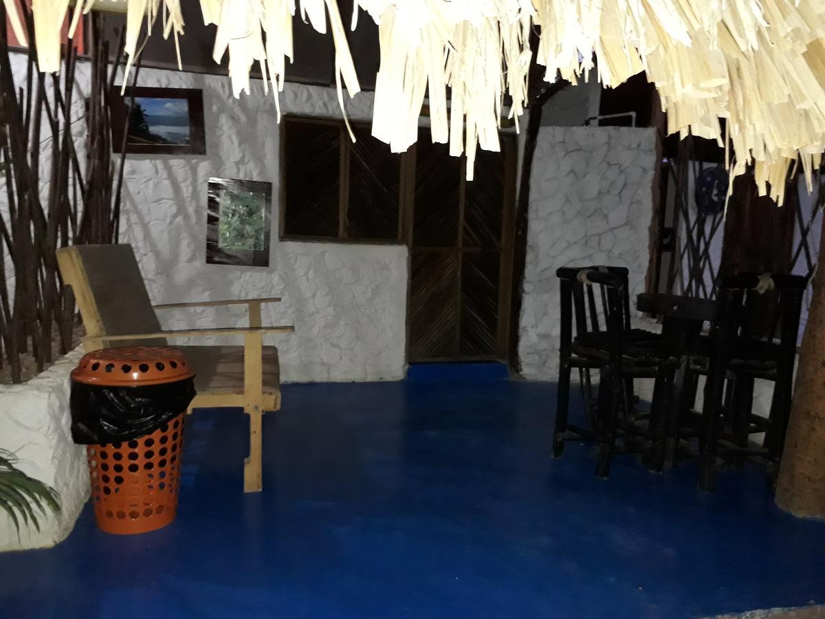 Hostel Cattleya 팔로미노 외부 사진
