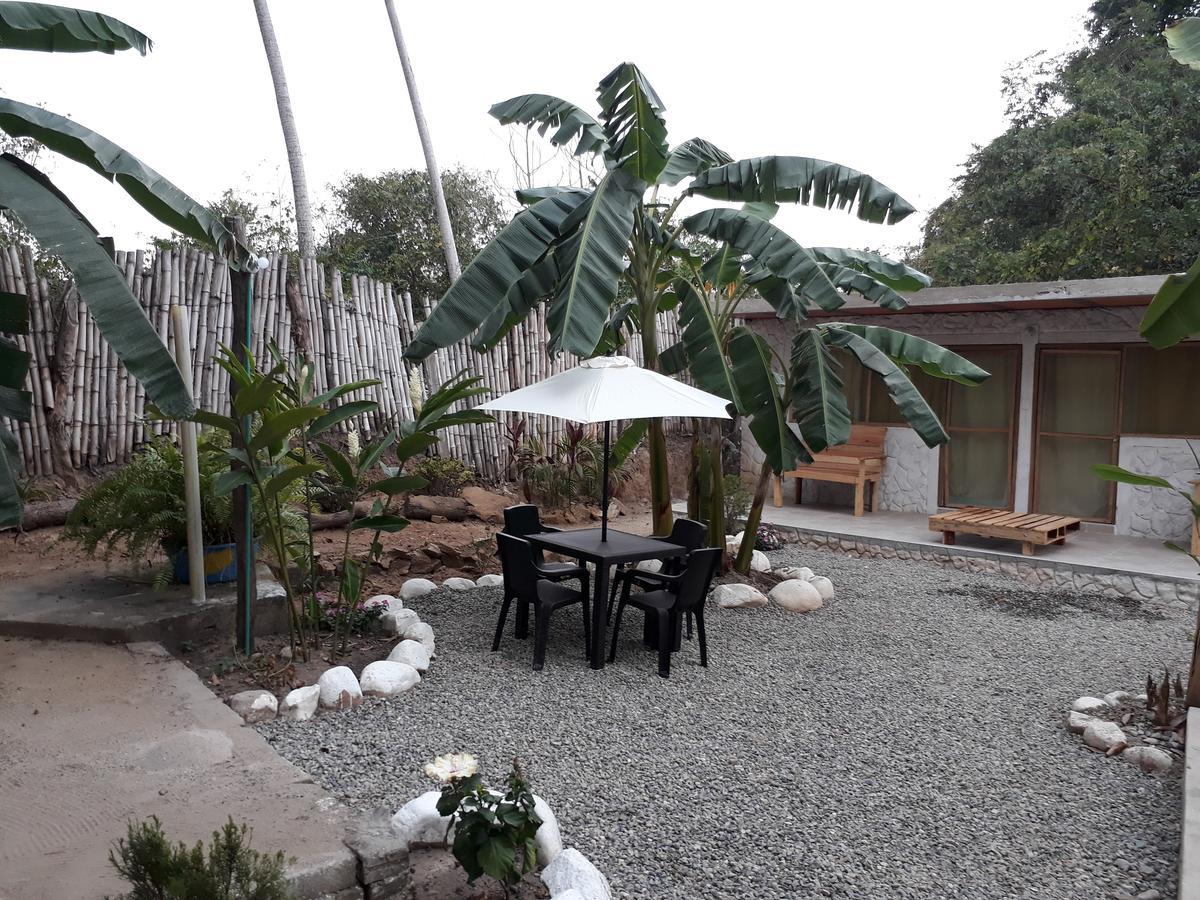Hostel Cattleya 팔로미노 외부 사진